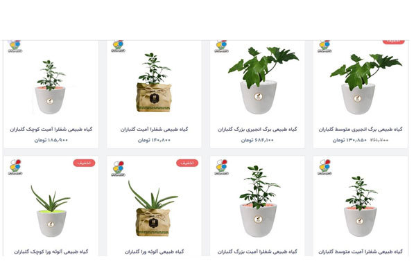 فواید نگهداری از انواع گیاه مقاوم با محصولات گلباران سبز گیلان