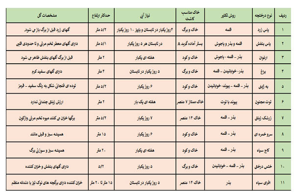  شرایط مناسب جهت نگهداری درختچه های زینتی در فضای باز