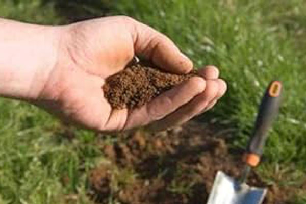 کدام انواع خاکها برای پرورش صیفیجات مناسبتر هستند؟