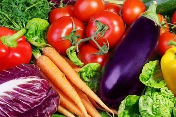 چگونه میتوان اطلاعات بیشتری در رابطه با نیازهای غذایی هر مدل از صیفیجات به دست آورد؟