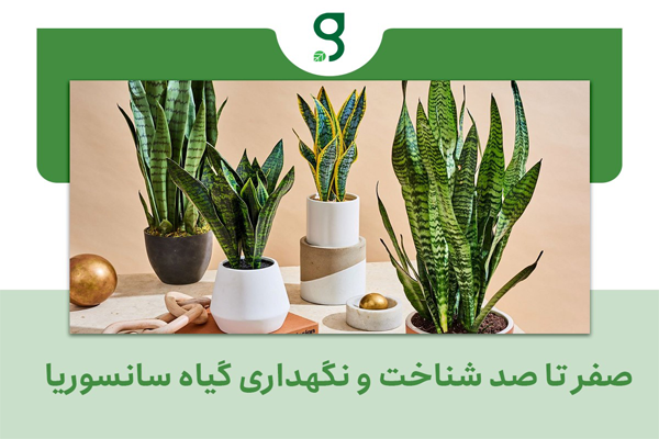 فروشگاه گرینیوم