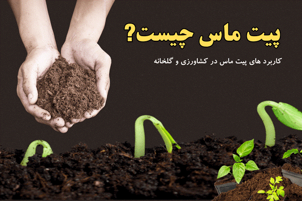 خاک پیت ماس چیست و چه کاربردی در کشاورزی دارد