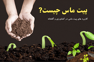 پیت ماس چیست و کاربردهای آن در کشاورزی و گلخانه‌ها
