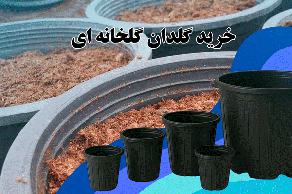 خرید گلدان گلخانه ای