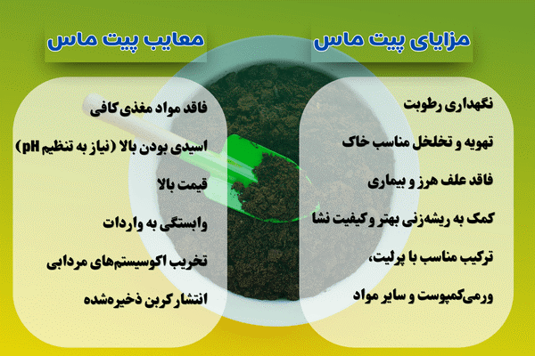 مزایا و معایب پیت ماس چیست