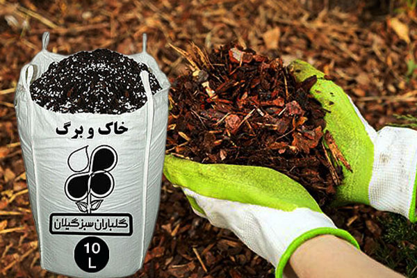 بهترین ترکیبات خاک‌ و برگ طبیعی برای تقویت گیاهان