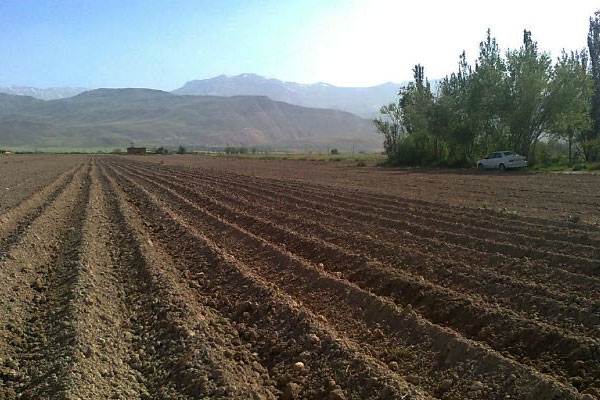 خاک برای کشاورزی
