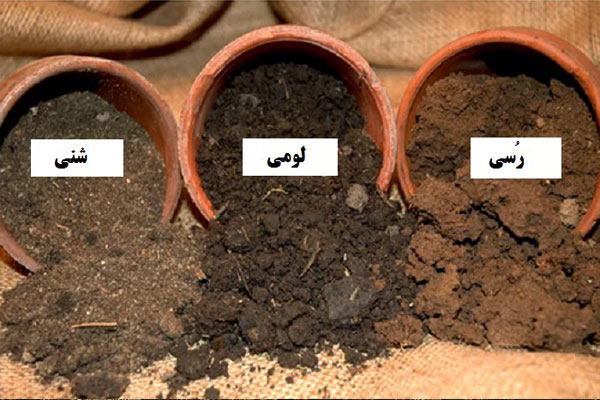 چه نوع خاکی برای کشاورزی مناسب‌تر است؟