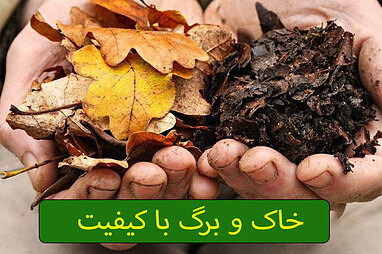 خاک و برگ با کیفیت