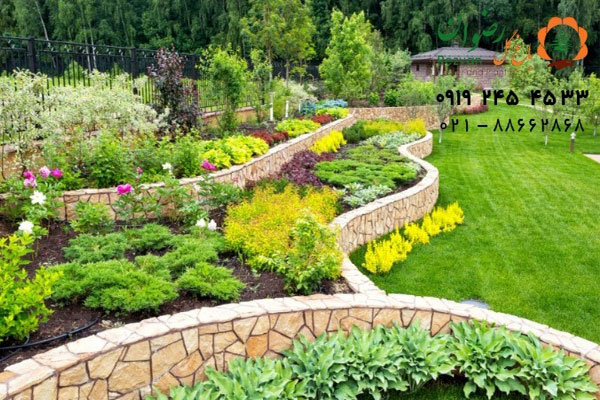گیاهان مناسب برای محوطه سازی 