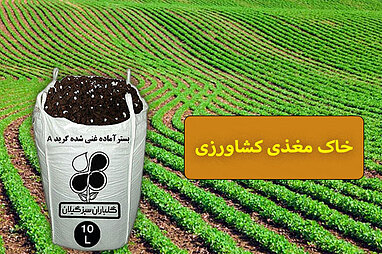 خاک مغذی کشاورزی
