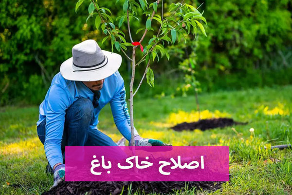 اصلاح خاک باغ 