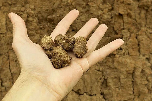 نشانه‌های نیاز به اصلاح خاک