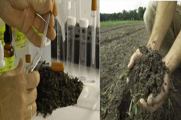 انجام صحیح مراحل اصلاح کردن خاک باغ