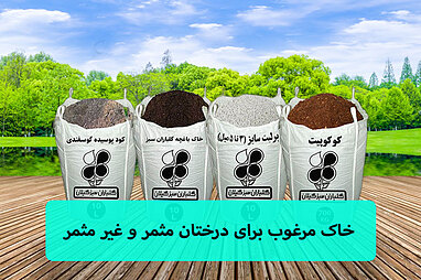 خاک مرغوب برای درختان مثمر و غیر مثمر