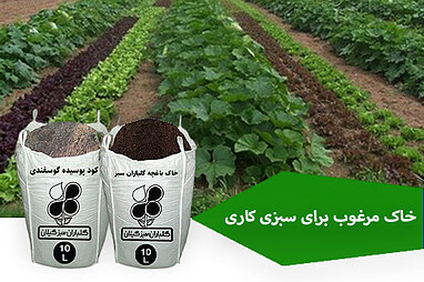 خاک مرغوب برای سبزی کاری