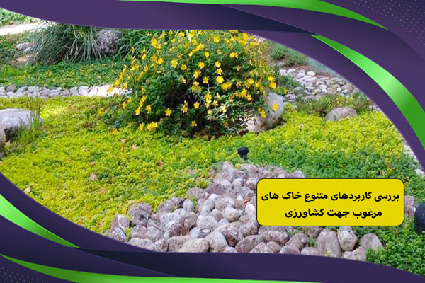 بررسی کاربردهای متنوع خاک های مرغوب جهت کشاورزی 