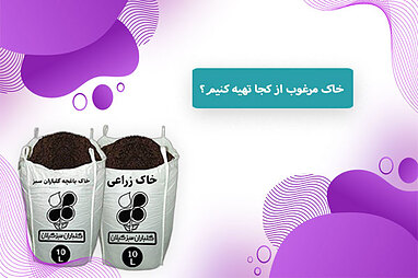 خاک مرغوب از کجا تهیه کنیم؟