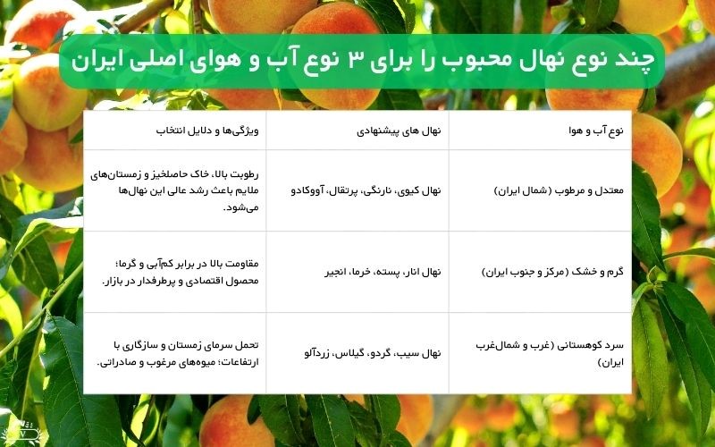 خرید نهال
