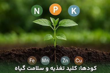 بحران غذایی جهانی و نقش مدیریت هوشمندانه کود و سموم