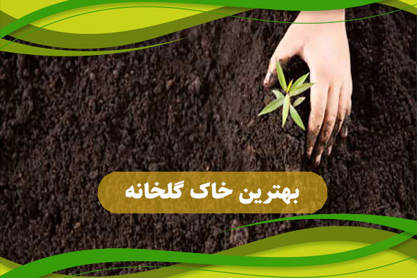 بهترین خاک گلخانه 