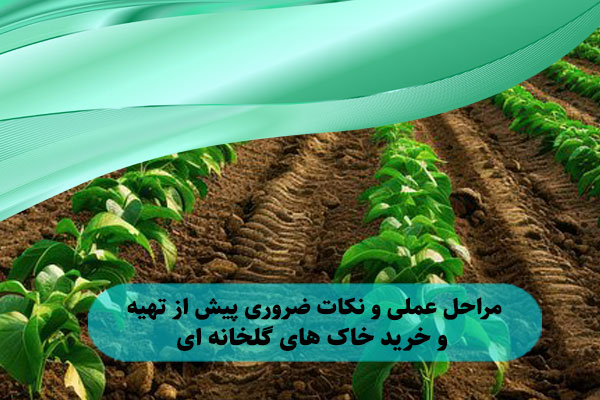 مراحل عملی و‌ نکات ضروری پیش از تهیه و خرید خاک های گلخانه ای