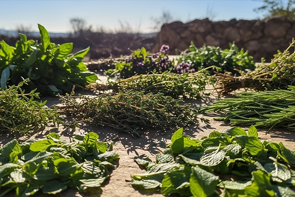 تفاوت سبزی خشک و تازه +ضریب تبدیل