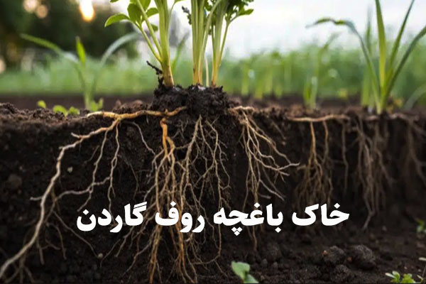 خاک باغچه روف گاردن