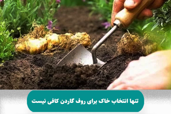  تنها انتخاب خاک برای روف گاردن کافی نیست!