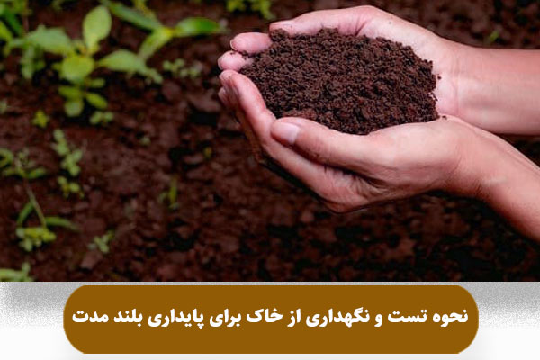 نحوه تست و نگهداری از خاک برای پایداری بلند مدت