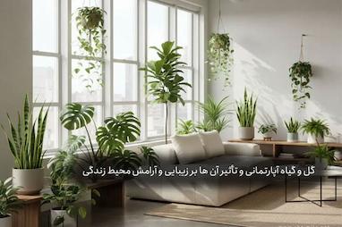 گل و گیاه آپارتمانی و تأثیر آن‌ ها بر زیبایی و آرامش محیط زندگی