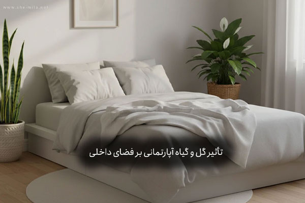 گل و گیاه آپاتمانی و تاثیر ان در فضای خانه