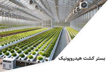بستر کشت هیدروپونیک 