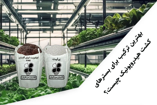 بهترین ترکیب برای بسترهای کشت هیدروپونیک چیست؟