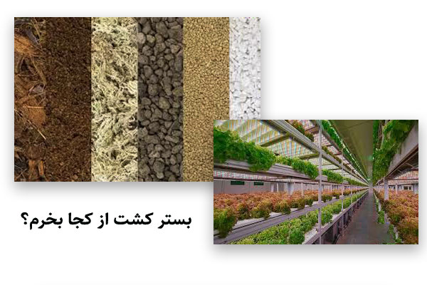 بستر کشت از کجا بخرم؟ ‌