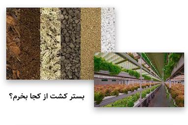 بستر کشت از کجا بخرم؟ ‌