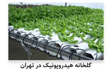 گلخانه هیدروپونیک در تهران