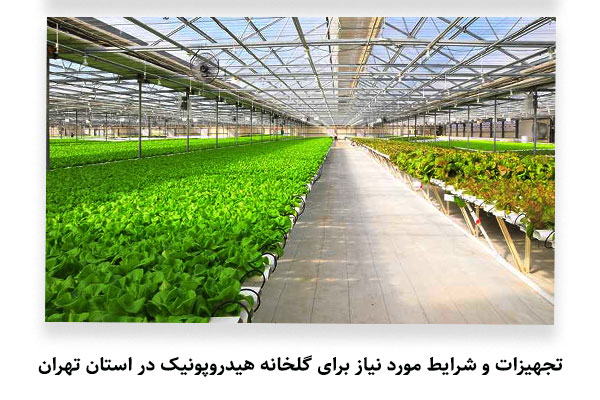 تجهیزات و شرایط مورد نیاز برای گلخانه هیدروپونیک در استان تهران  