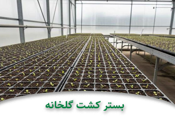 بستر کشت گلخانه