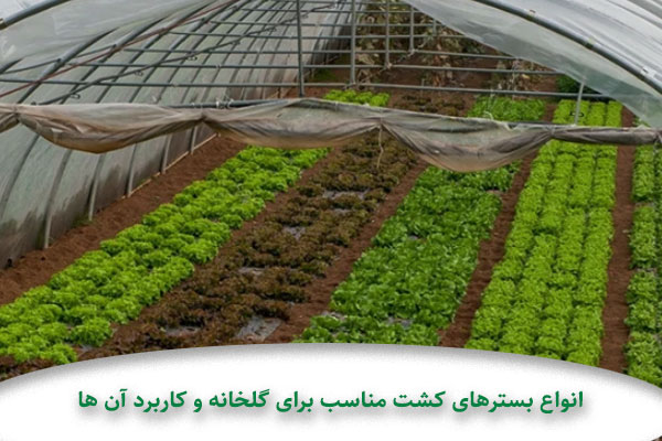 انواع بسترهای کشت مناسب برای گلخانه و کاربرد آن ها