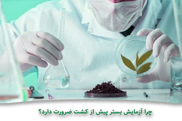 چرا آزمایش بستر پیش از کشت ضرورت دارد؟