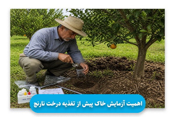 اهمیت آزمایش خاک پیش از تغذیه درخت نارنج