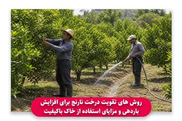 روش های تقویت درخت نارنج برای افزایش باردهی و مزایای استفاده از خاک باکیفیت