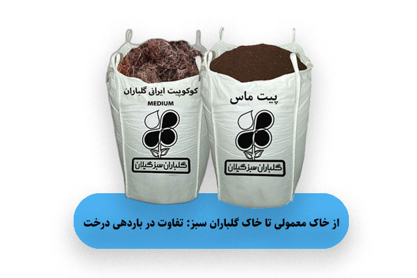 از خاک معمولی تا خاک گلباران سبز: تفاوت در باردهی درخت