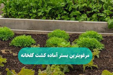 مرغوبترین بستر آماده کشت گلخانه