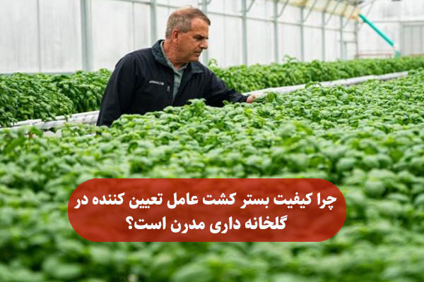 چرا کیفیت بستر کشت عامل تعیین‌ کننده در گلخانه داری مدرن است؟