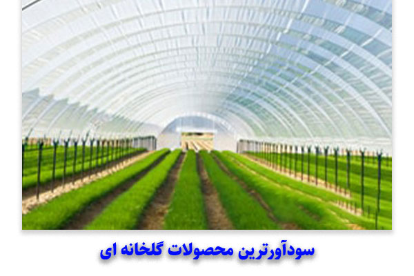 سودآورترین محصولات گلخانه ای