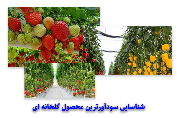 شناسایی سودآورترین محصول گلخانه ای