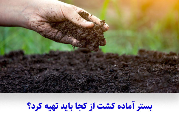 بستر آماده کشت از کجا باید تهیه کرد؟