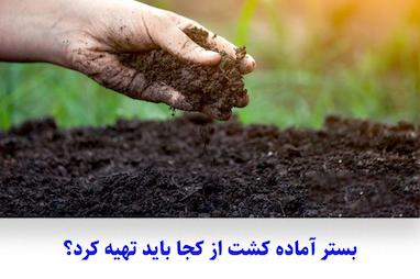 بستر آماده کشت از کجا باید تهیه کرد؟